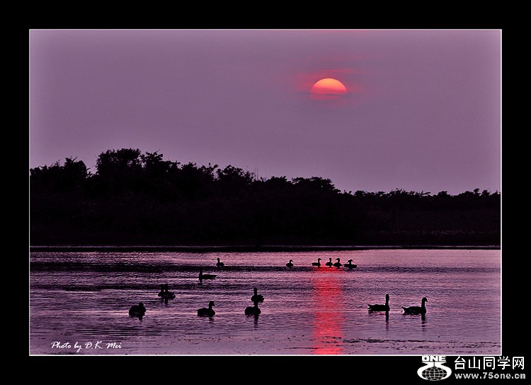 Sunset Geese 2.jpg