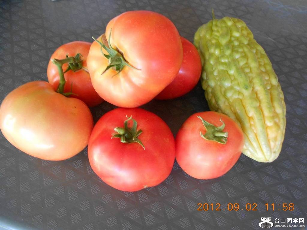 ũ�����ջ� 006.JPG