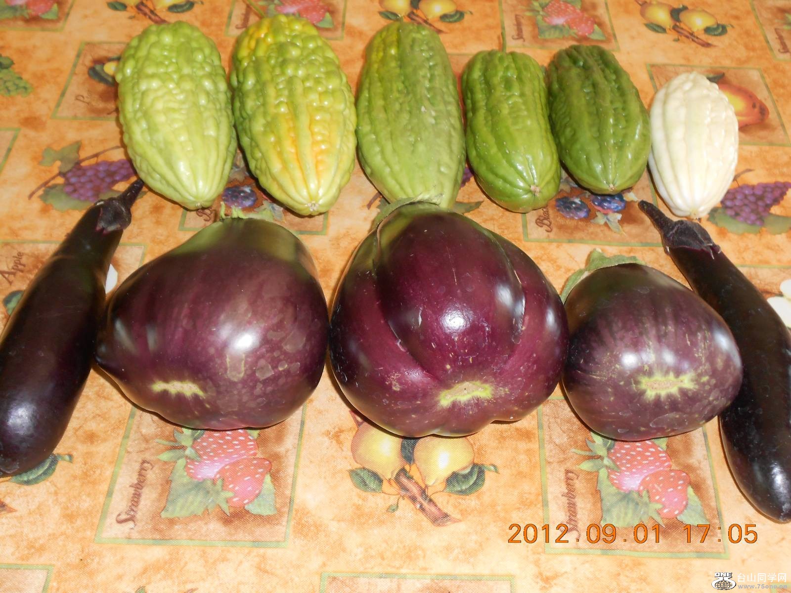 ũ�����ջ� 001.JPG