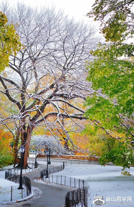 DSC_3014.jpg