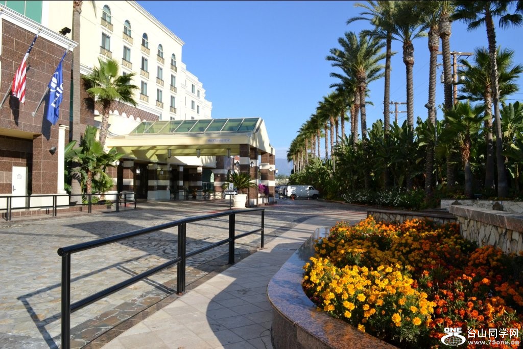 329931_245499195504008_1588513482_o - Copy.jpg