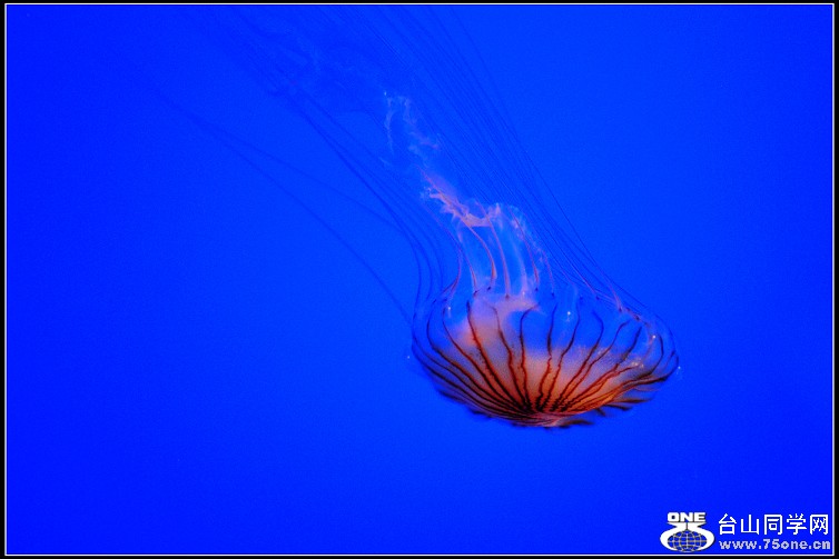 DSC_7327.JPG