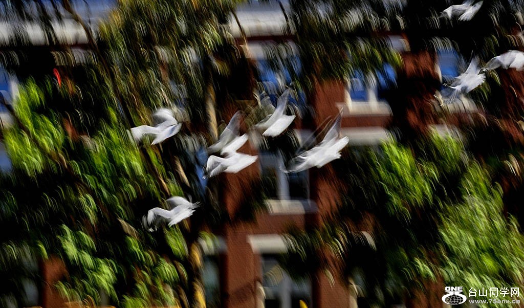 _DSC0424 [1024x768].jpg