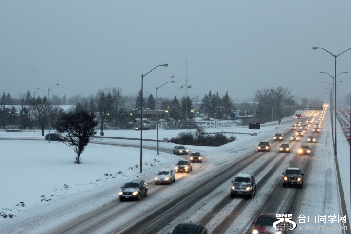 IMG_5567 (Small).JPG