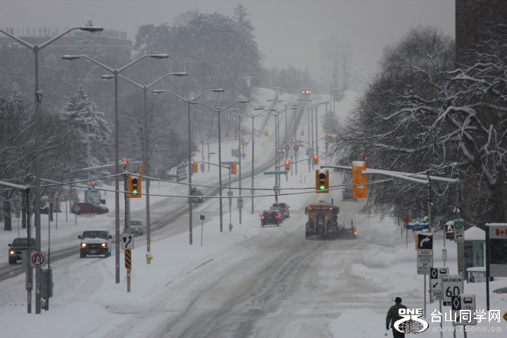 IMG_5052 (Small).JPG