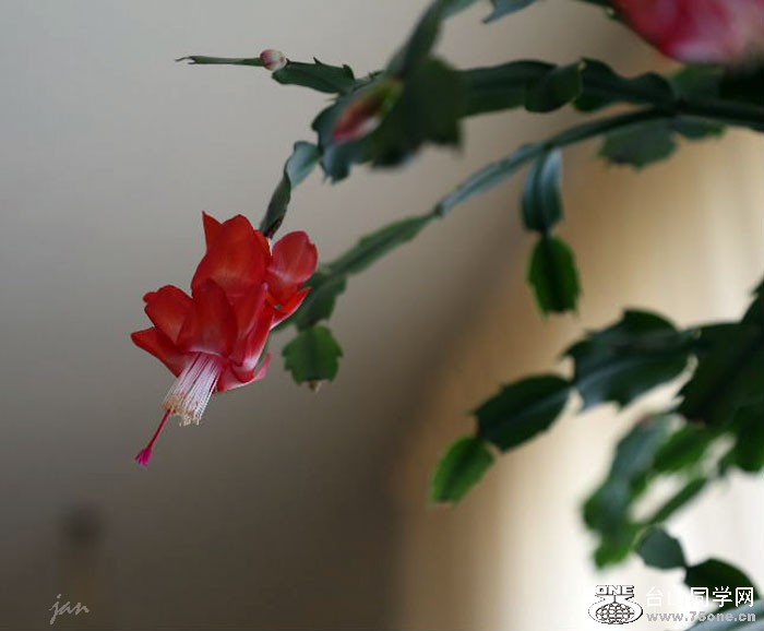 IMG_2194=.jpg