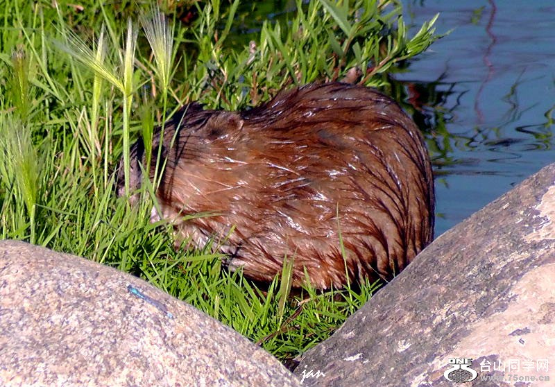 H2130261=.jpg