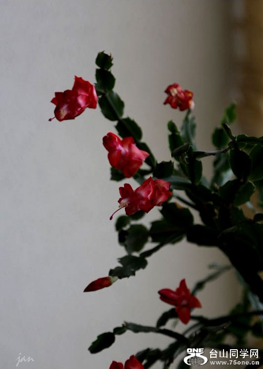 IMG_2132=.jpg
