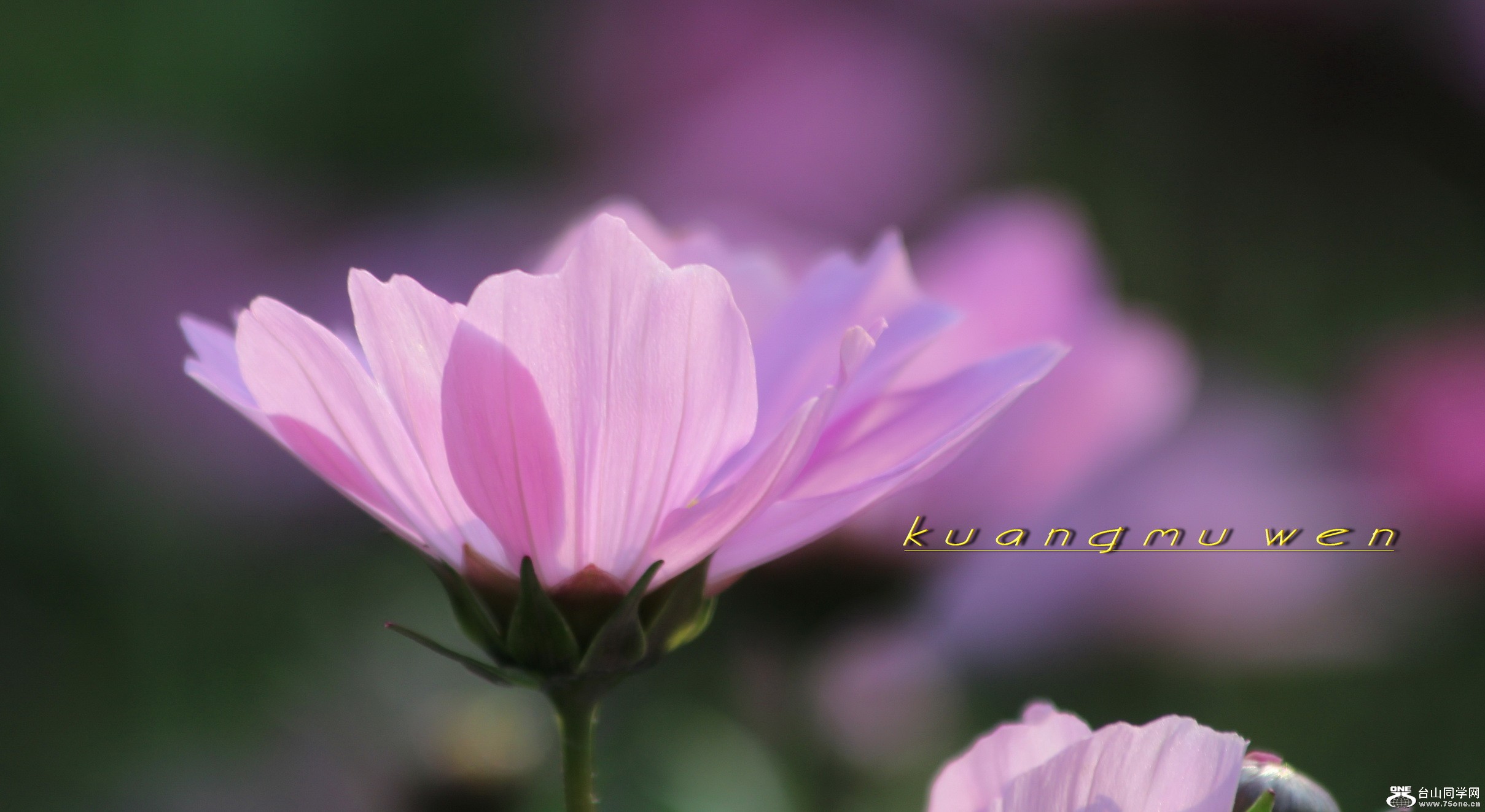 IMG_6821_С.jpg