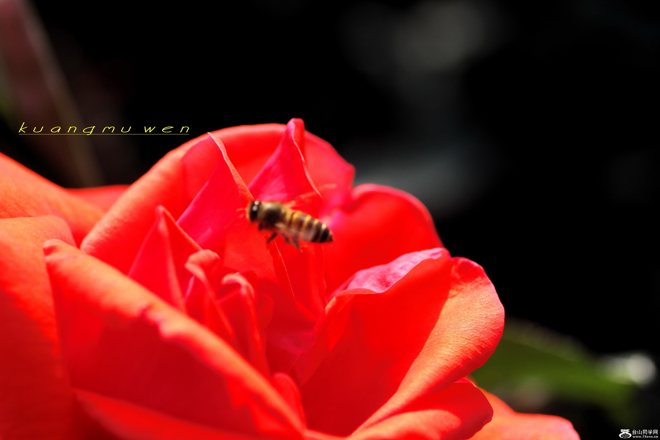 IMG_7726_С.jpg