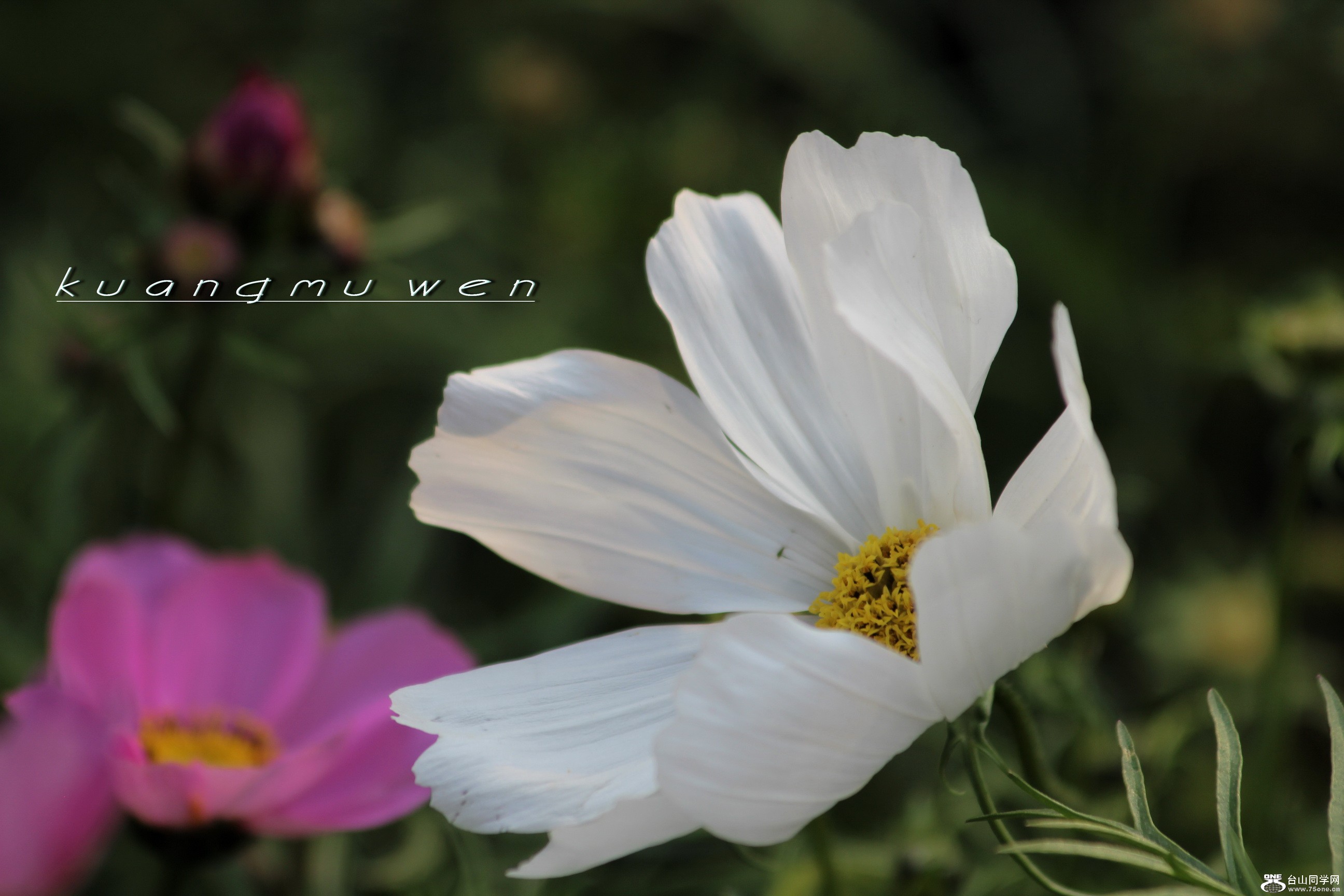 IMG_6819_С.jpg
