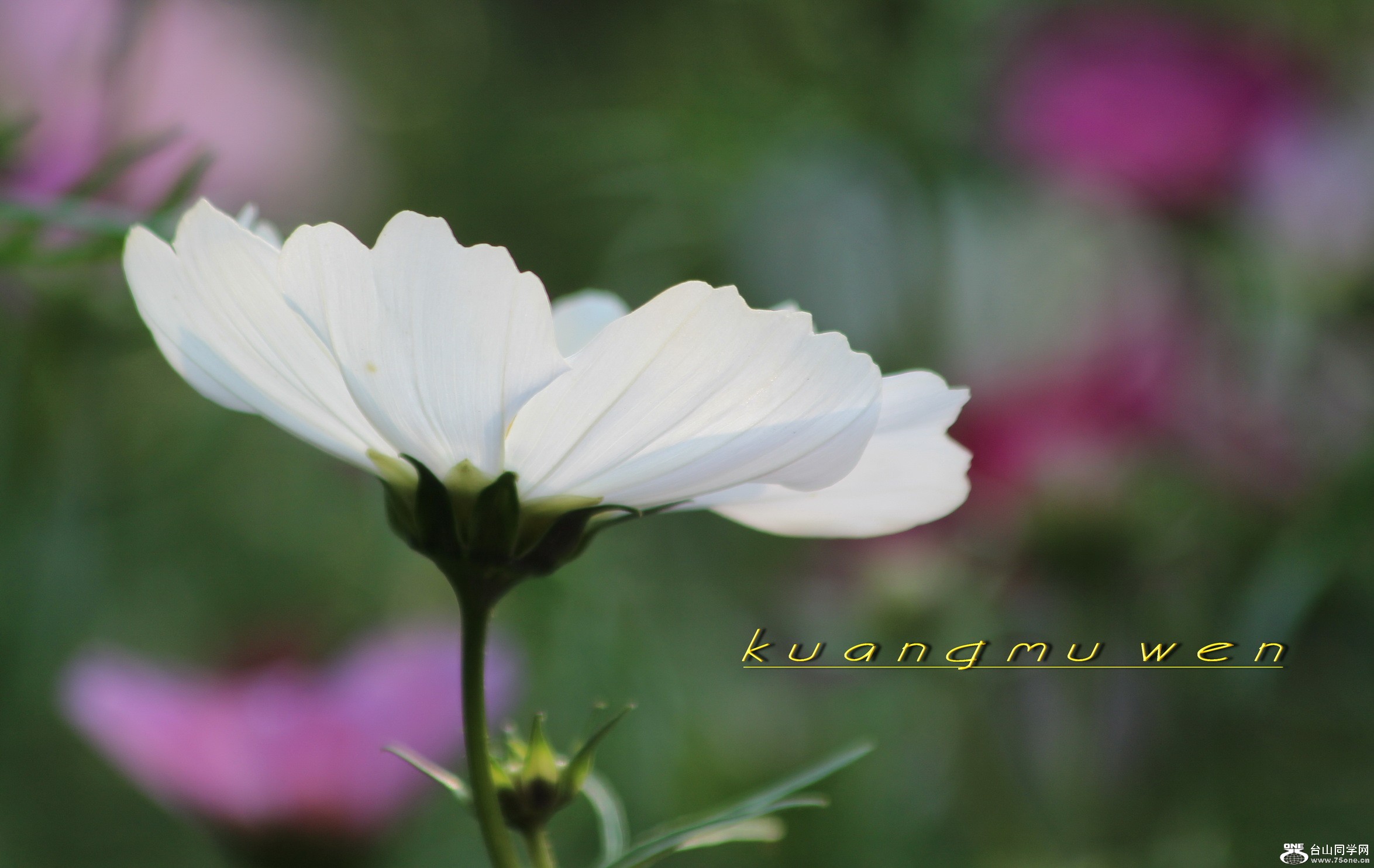 IMG_6820_С.jpg