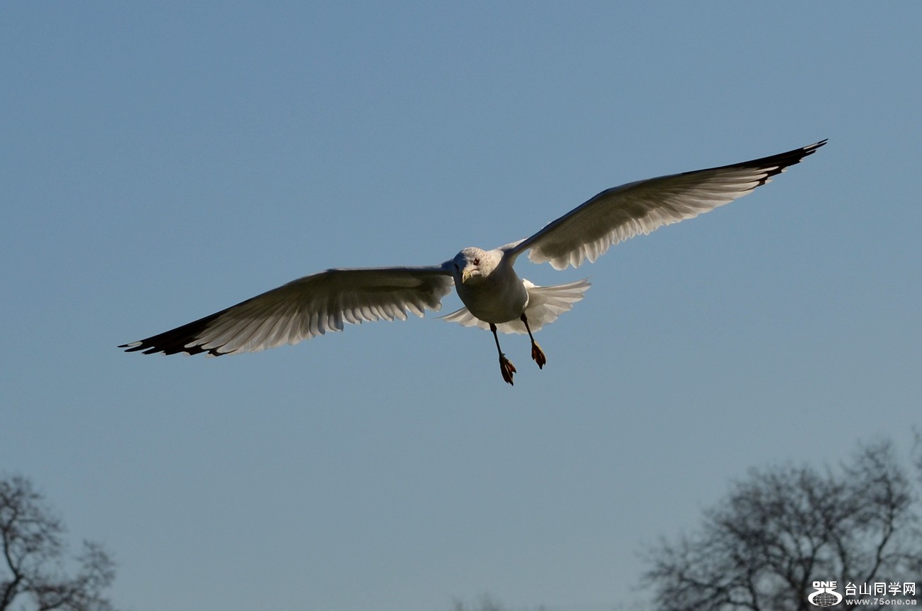 DSC_4971_19.jpg