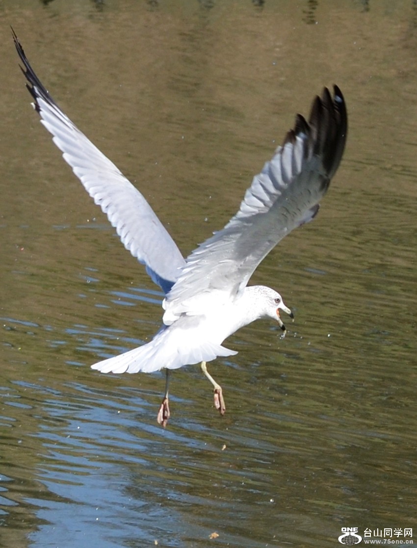 DSC_5355_12.jpg