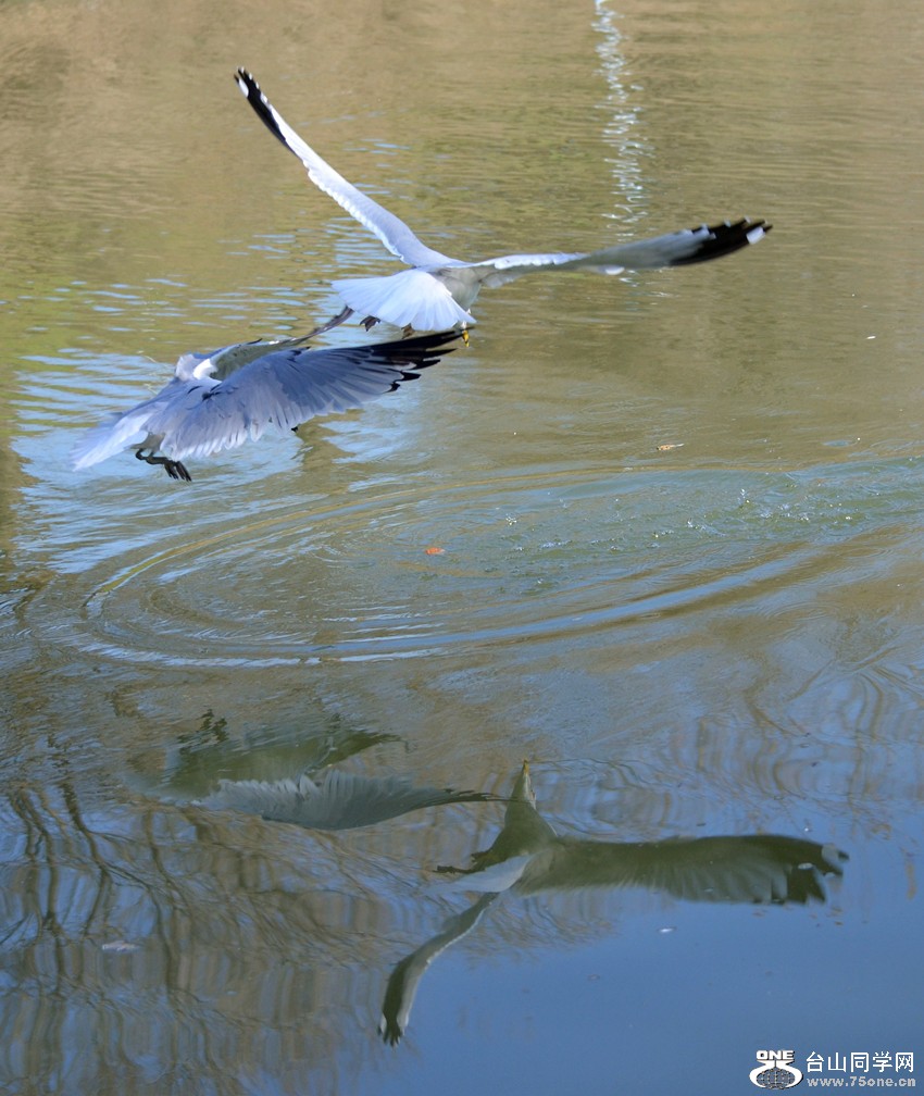 DSC_5351_38.jpg