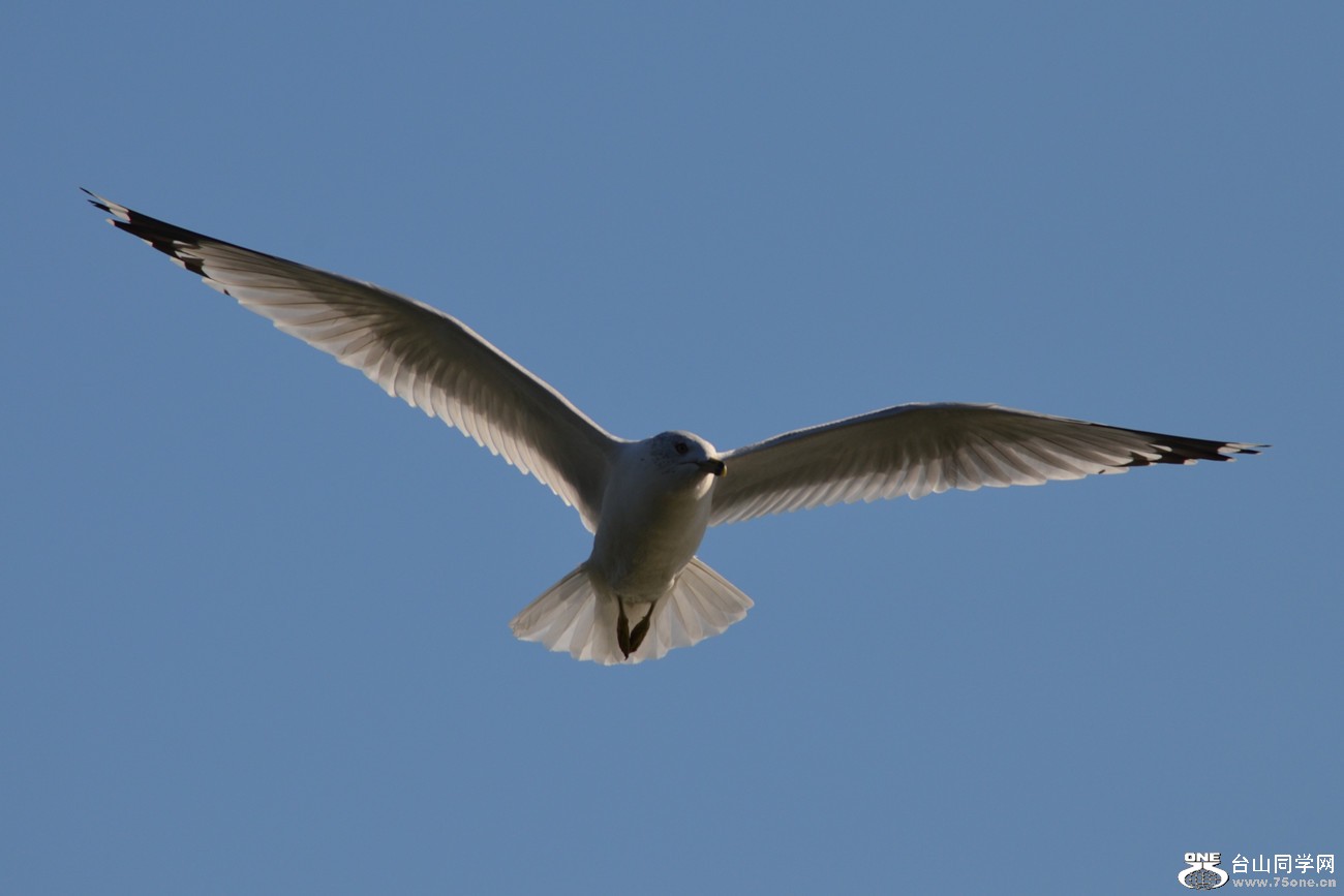 DSC_4996_18.jpg