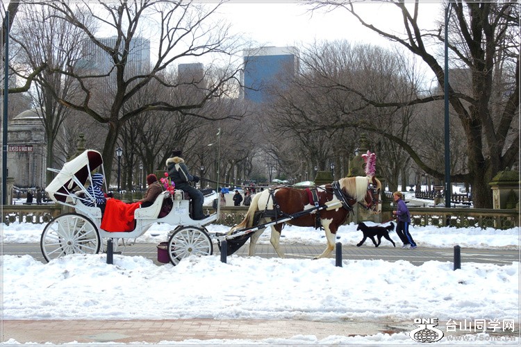 DSCN4434.jpg
