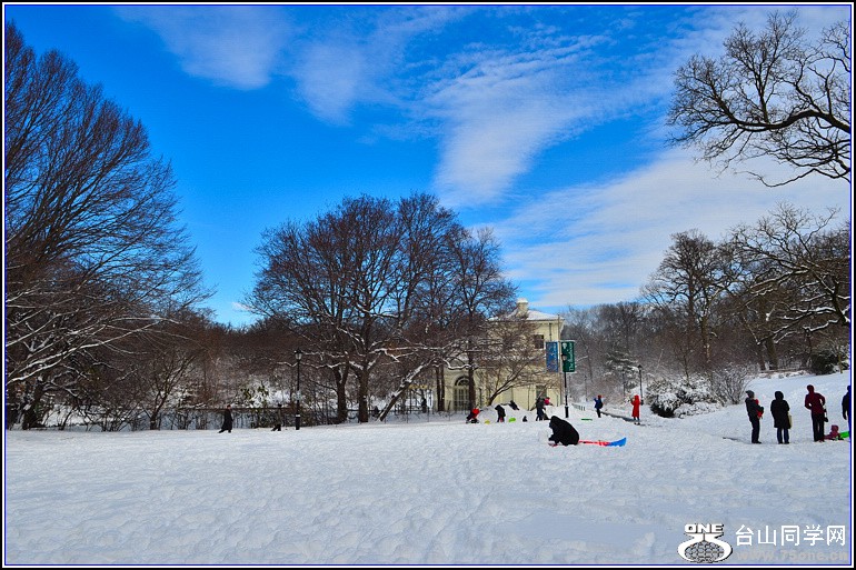 DSC_1982.jpg