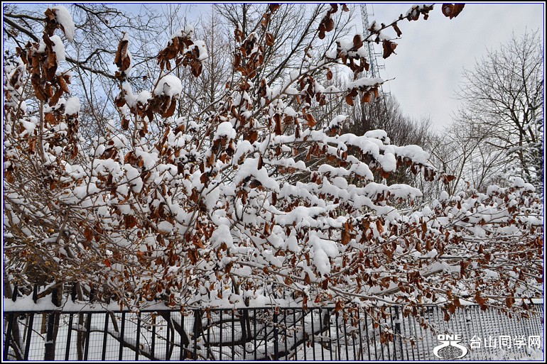 DSC_1921.jpg