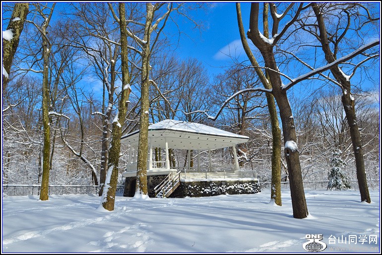 DSC_2031.jpg