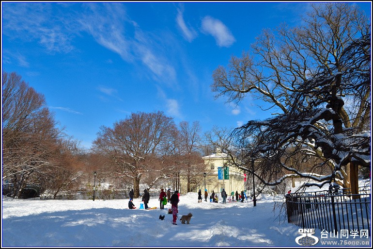 DSC_2042.jpg