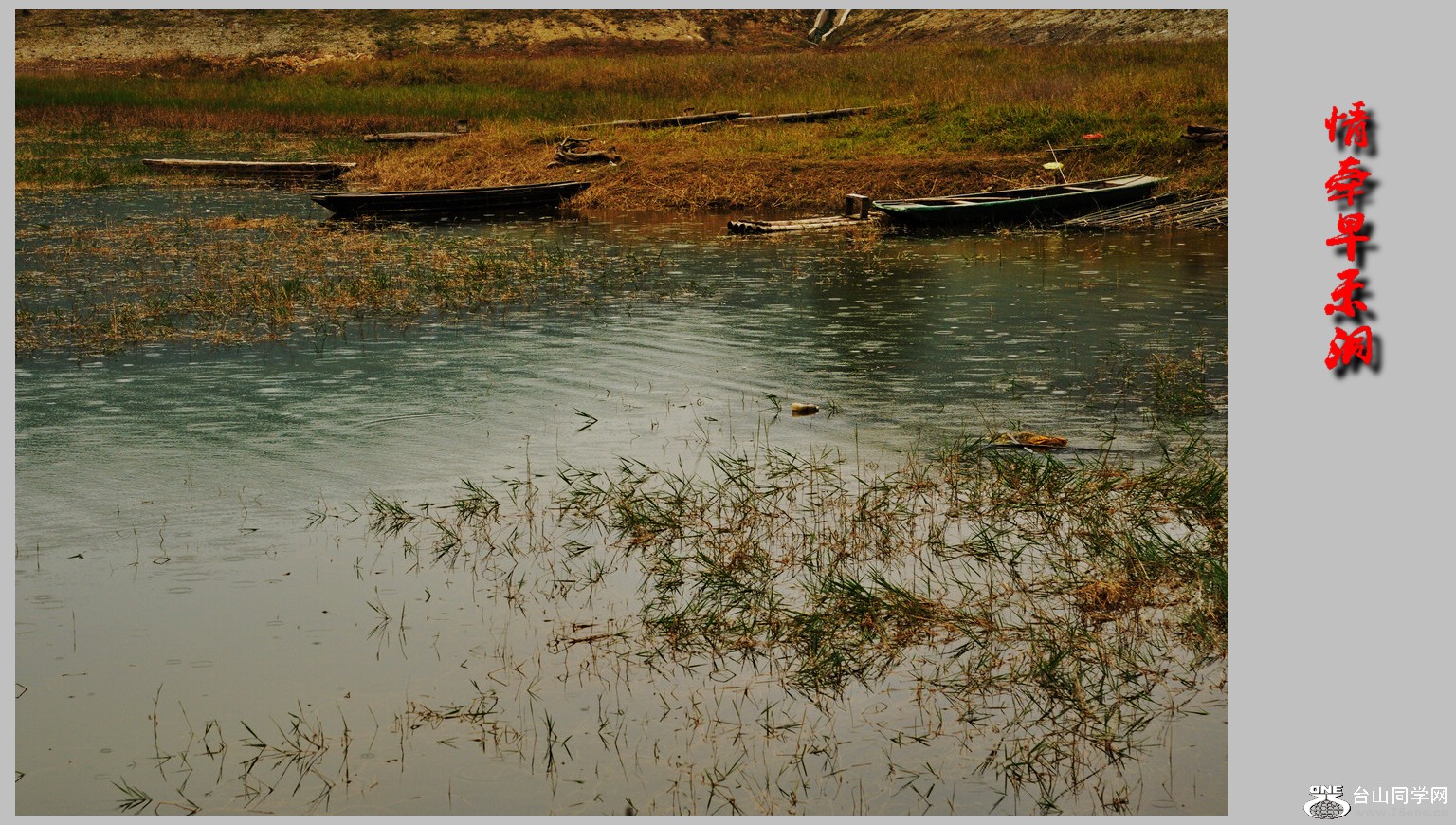 DSC_0174.jpg