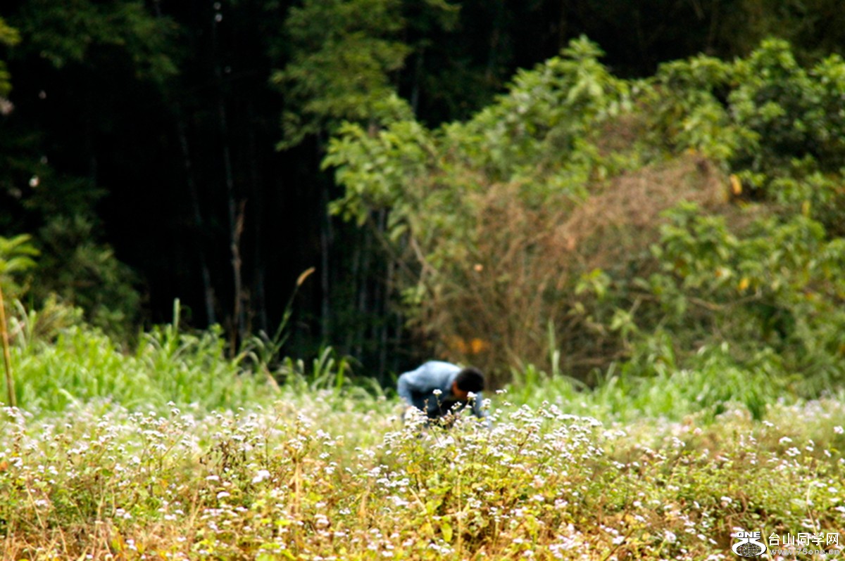 _MG_2177.jpg