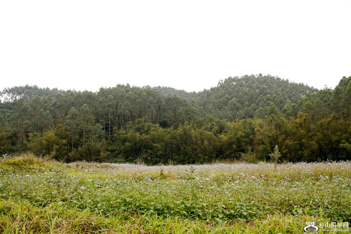 _MG_2179.jpg