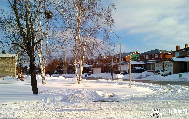conew_201212271980_conew1.jpg
