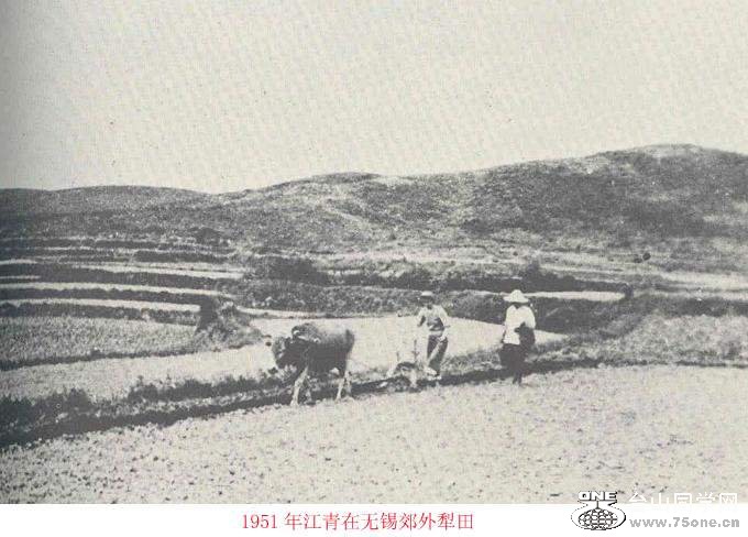 ʮһ2.jpg