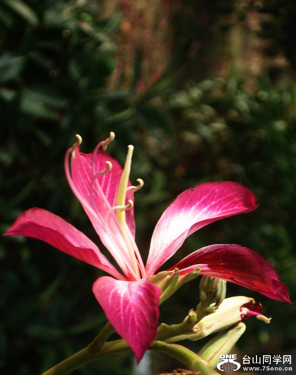 DSC00162.jpg