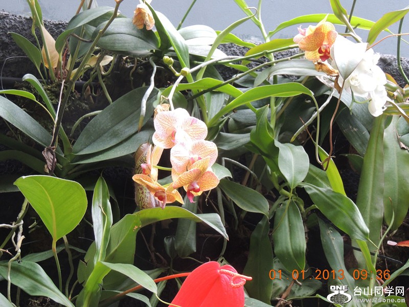 2013 vacation 769_.jpg