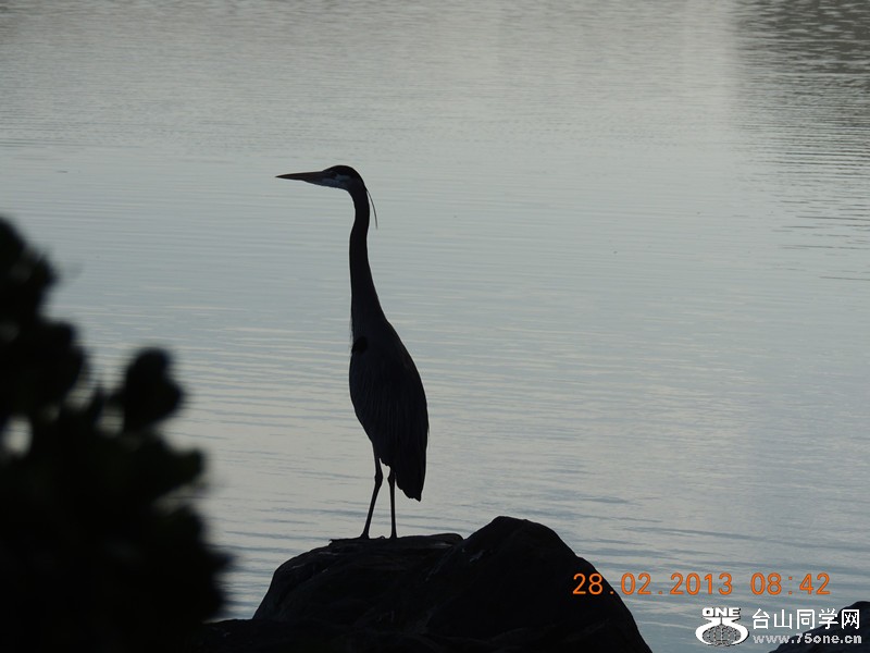 bird 1204_.jpg