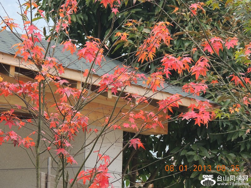 2013 vacation 1587_.jpg