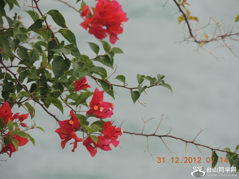 2013 vacation 323_.jpg