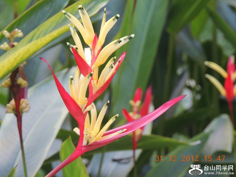 2013 vacation 358_.jpg