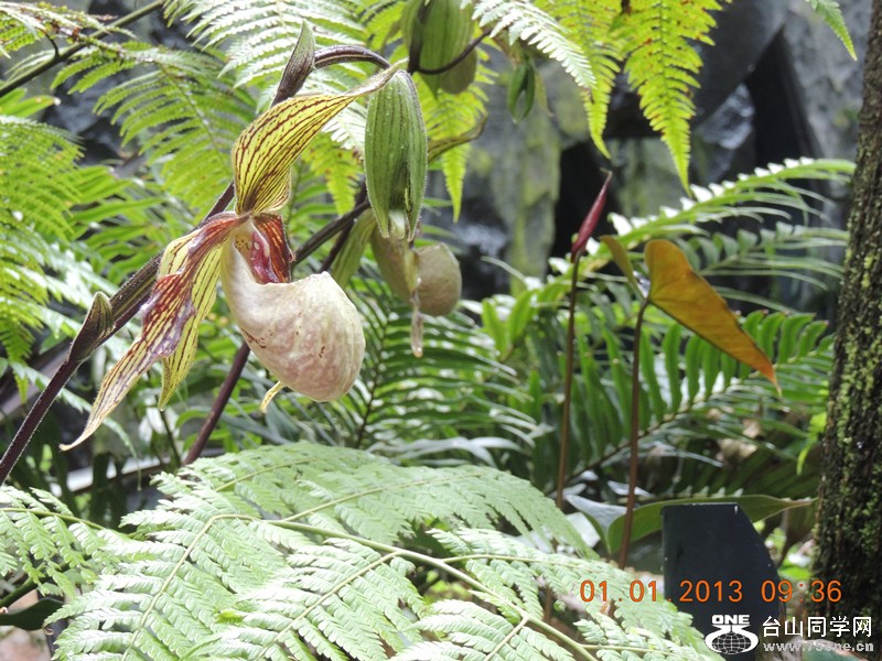 2013 vacation 772_.jpg