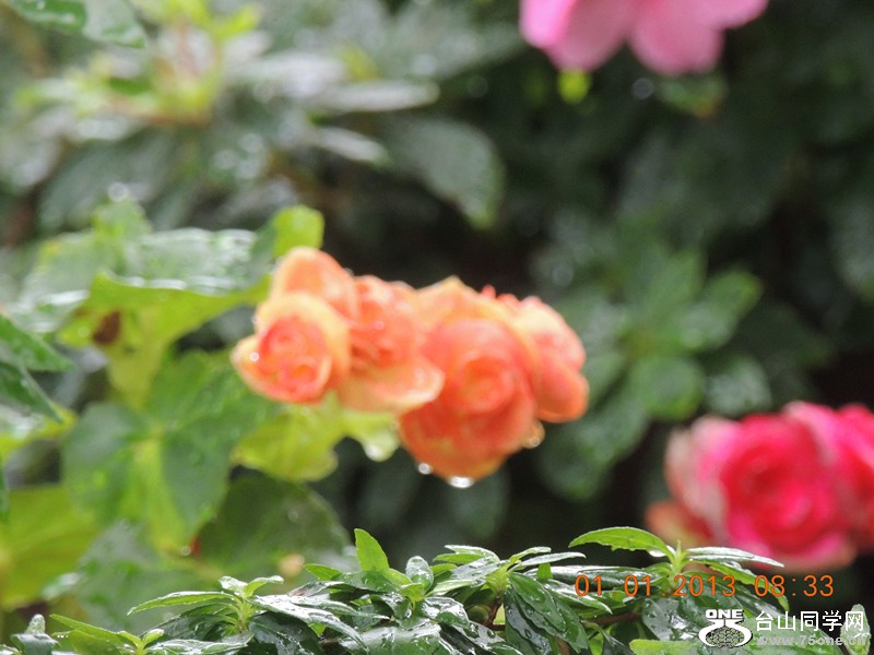 2013 vacation 616_.jpg
