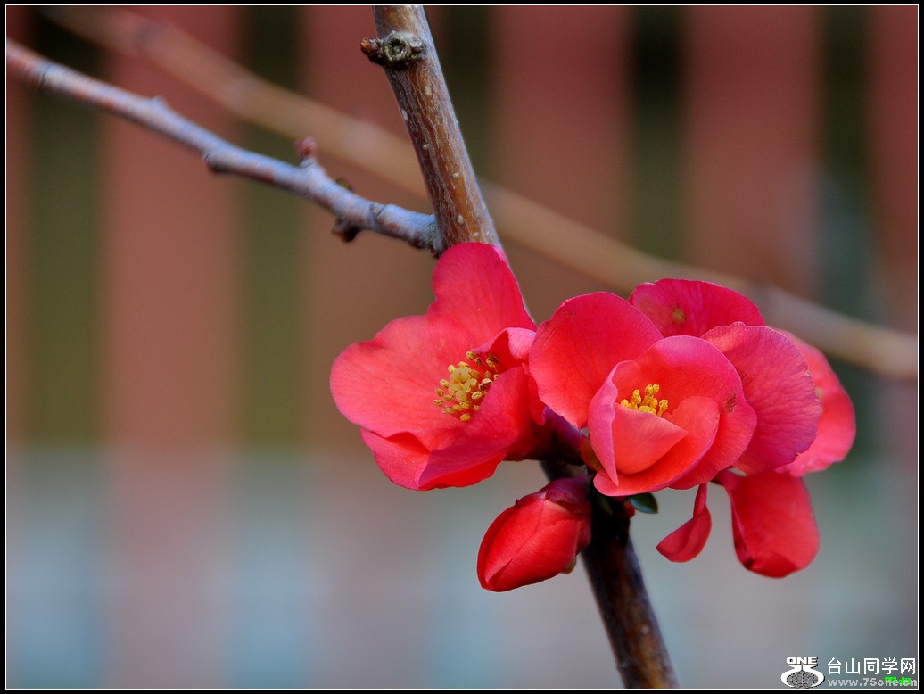DSC_2724.jpg