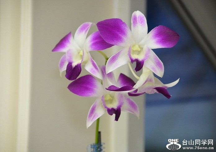 DSC_2357.JPG