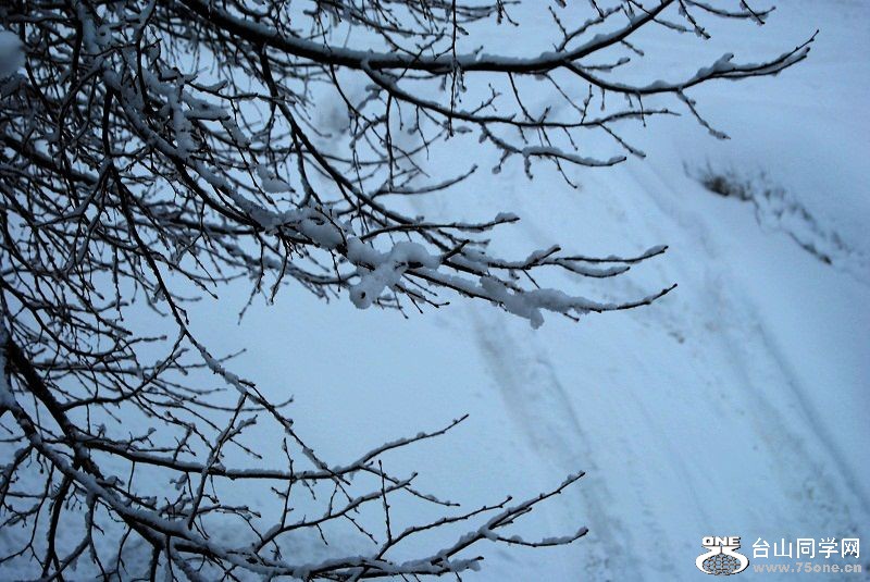 DSC_0256.JPG