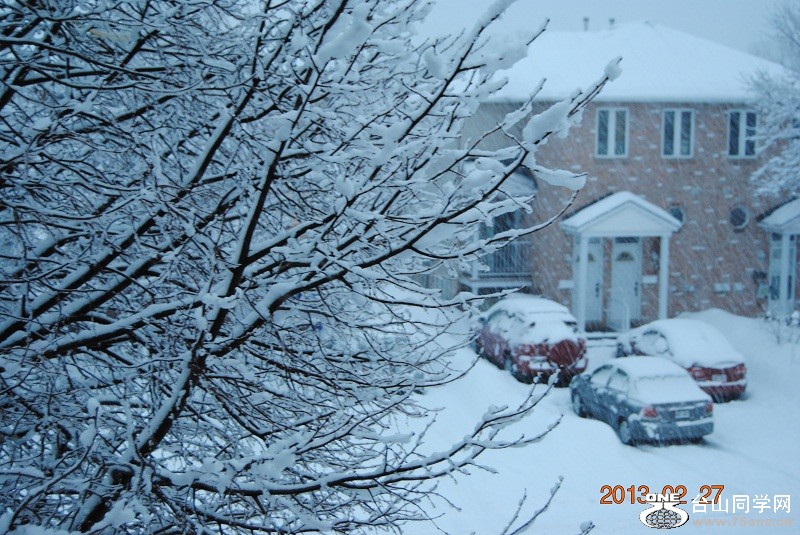 DSC_0264.JPG