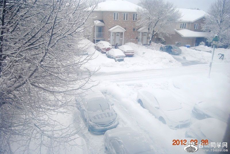 DSC_0254.JPG