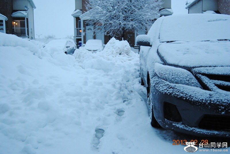 DSC_0243.JPG