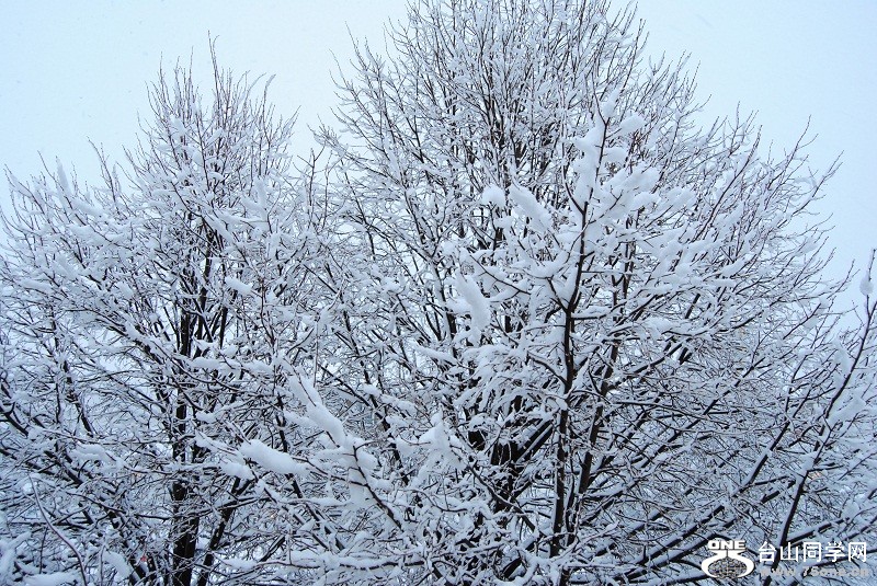 DSC_0250.JPG