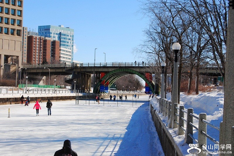 DSC_0172.jpg