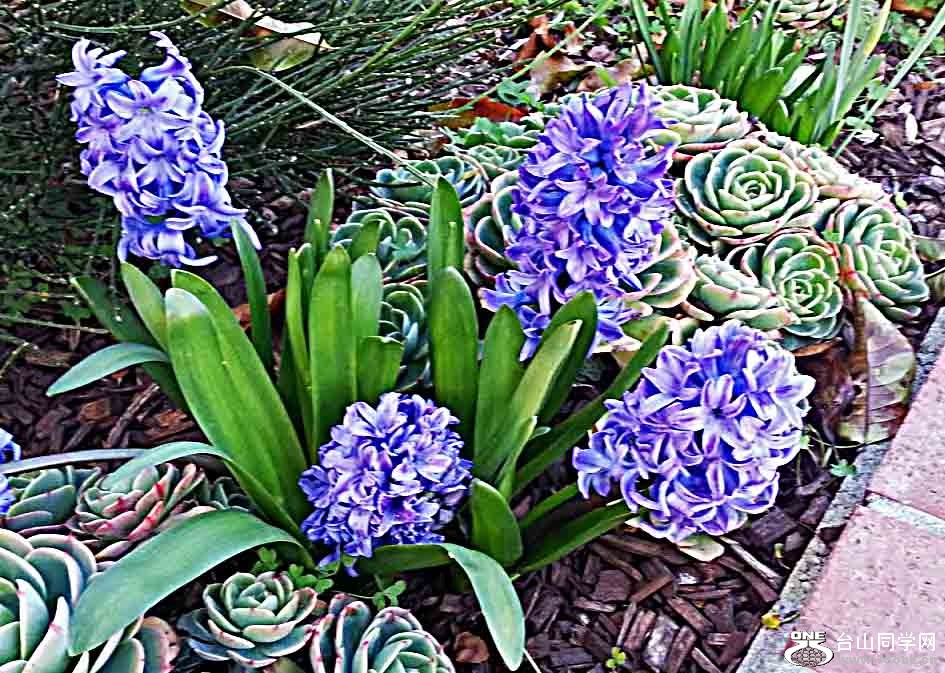 20130215_091233.jpg