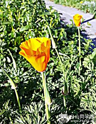 20130215_091655.jpg