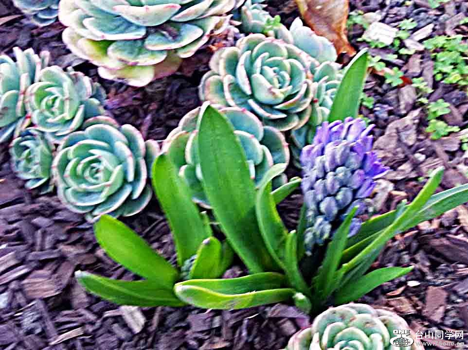 20130215_091215.jpg