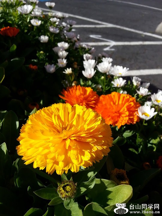 20130214_095137.jpg